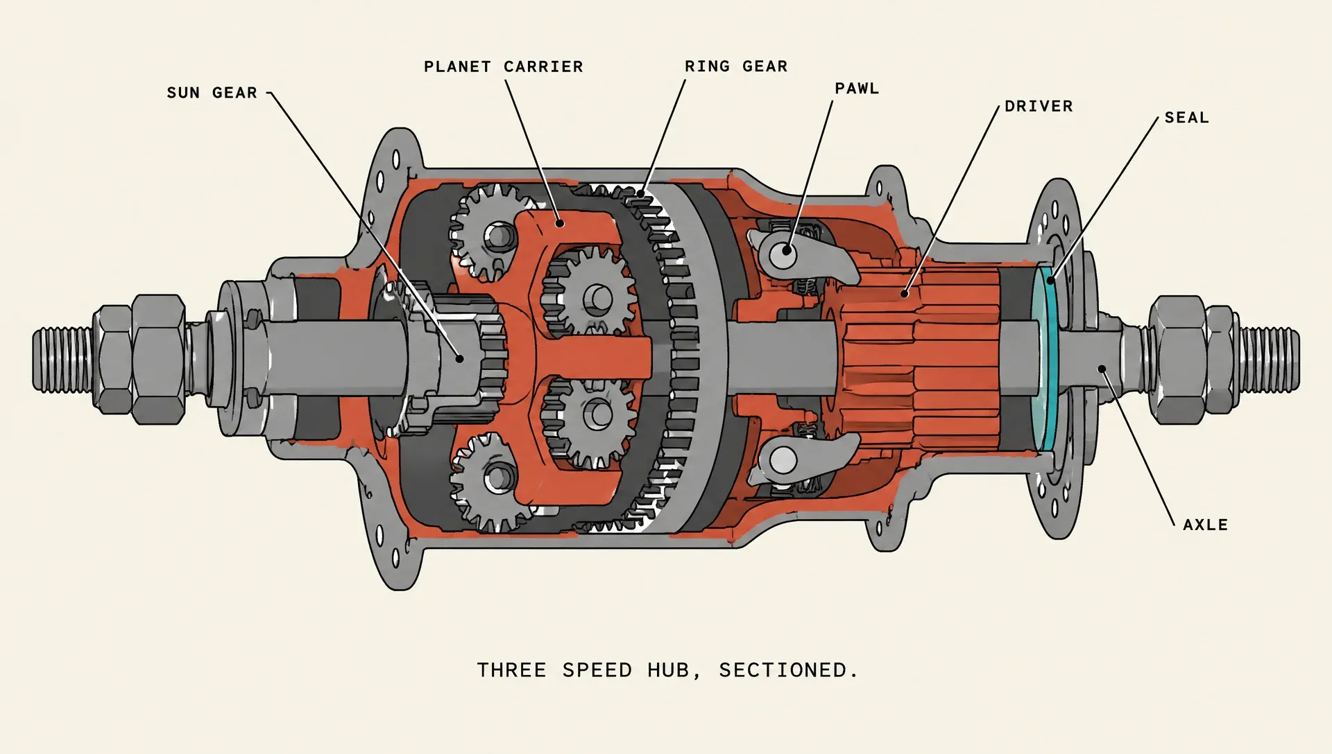 Labelled cutaway diagram of a bicycle hub gear with callout lines