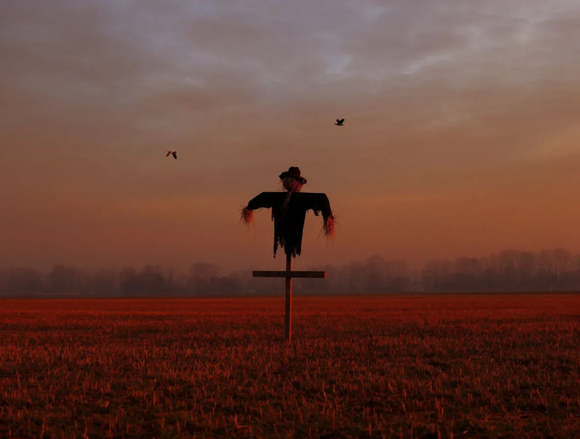 Ragged scarecrow standing alone in a stubble field at dusk, silhouetted against a fading sky, generated with Krea 2 Large