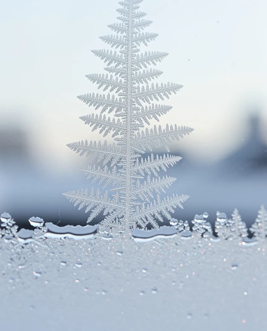 Macro photograph of a frost fern spreading across cold window glass at dawn, generated with Flux 2 Pro