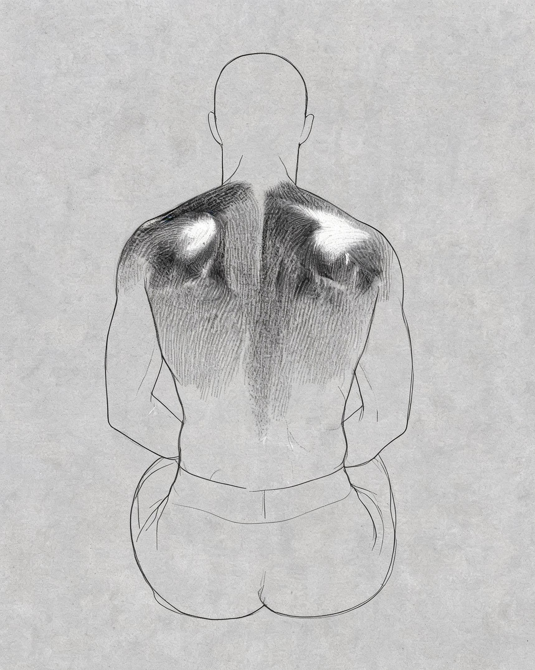 Pencil study of a seated back where the shoulder blades carry the darkest tone, generated with Seedream 5.0 Lite