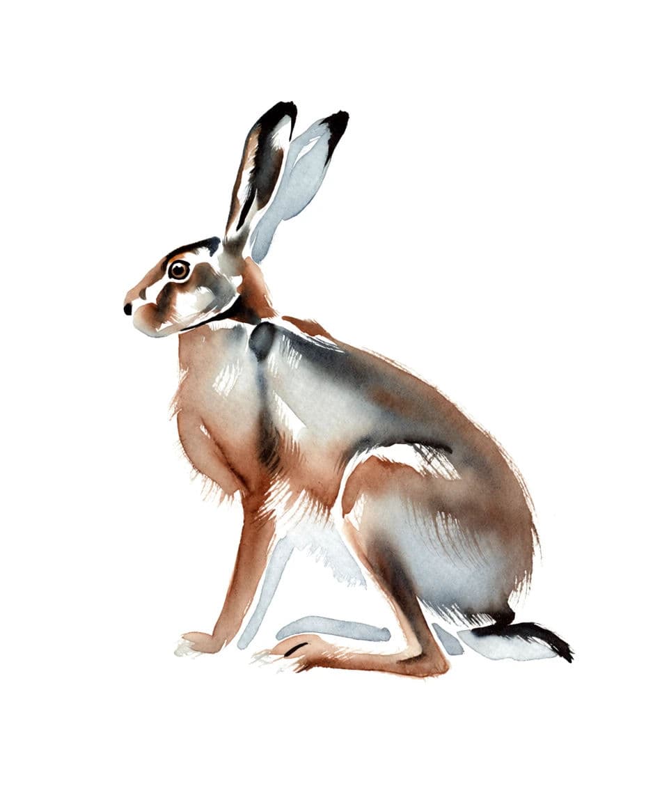 Watercolour animal study where the fur is built entirely from broken dry brush strokes, generated with Krea 2 Medium