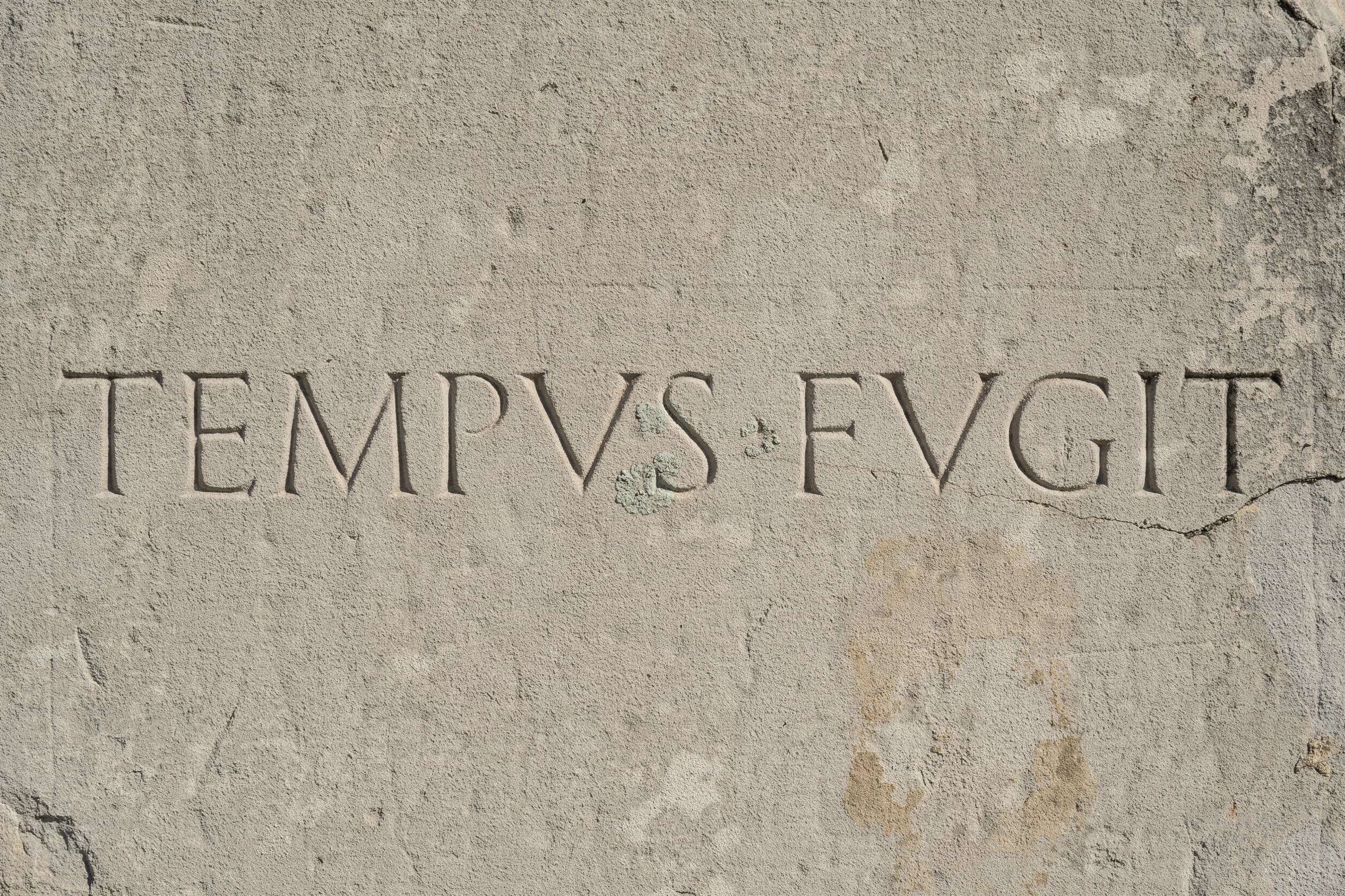 Roman capitals carved into weathered stone, generated with Ideogram