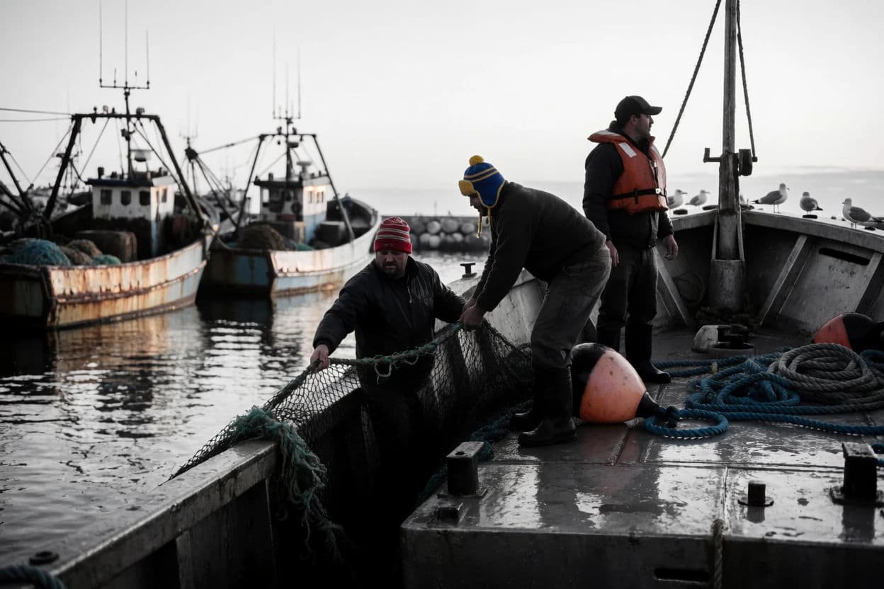 Bleach bypass grade of a fishing harbour at dawn with crushed blacks, generated with Krea