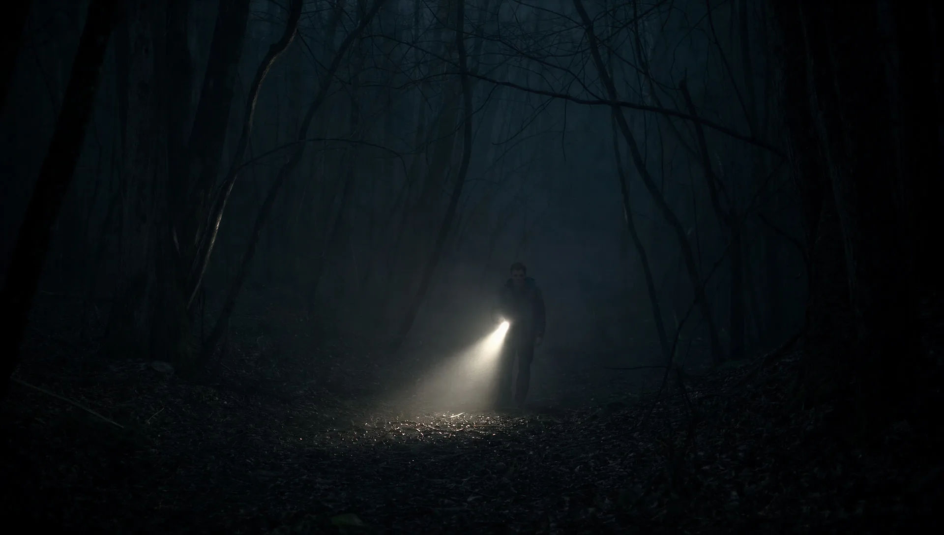 Fog-bound forest at midnight